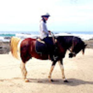 Meet your Posher, Jannica